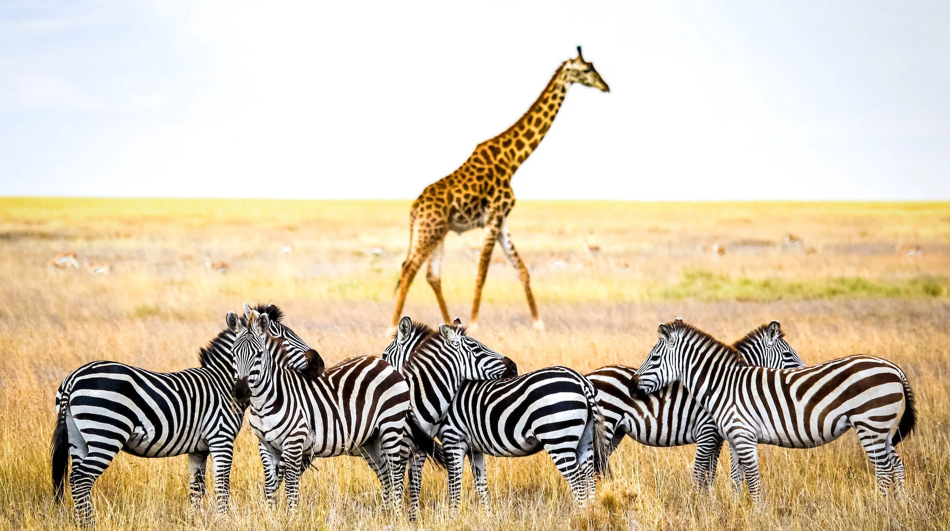 Tanzania