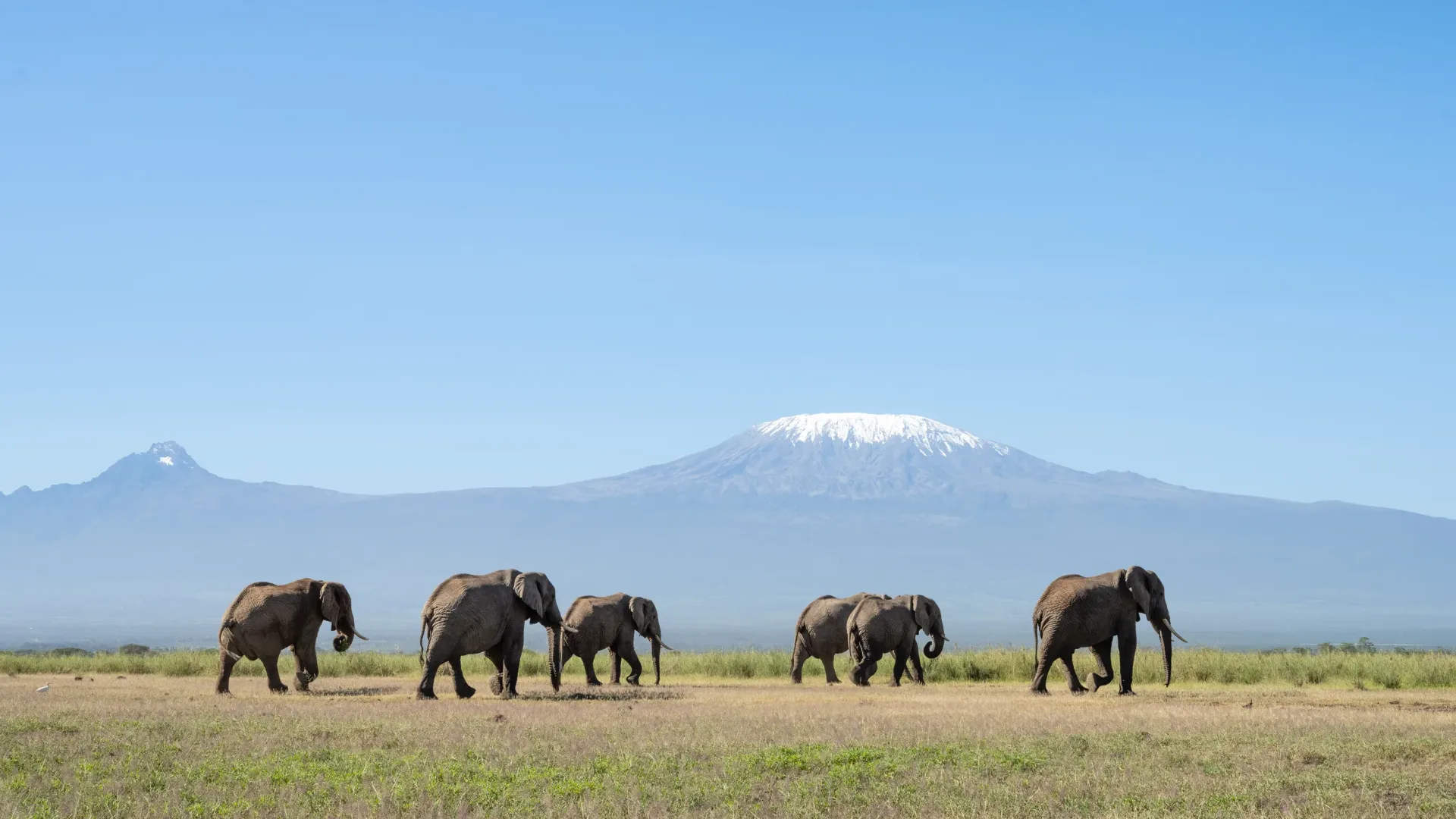Kenya