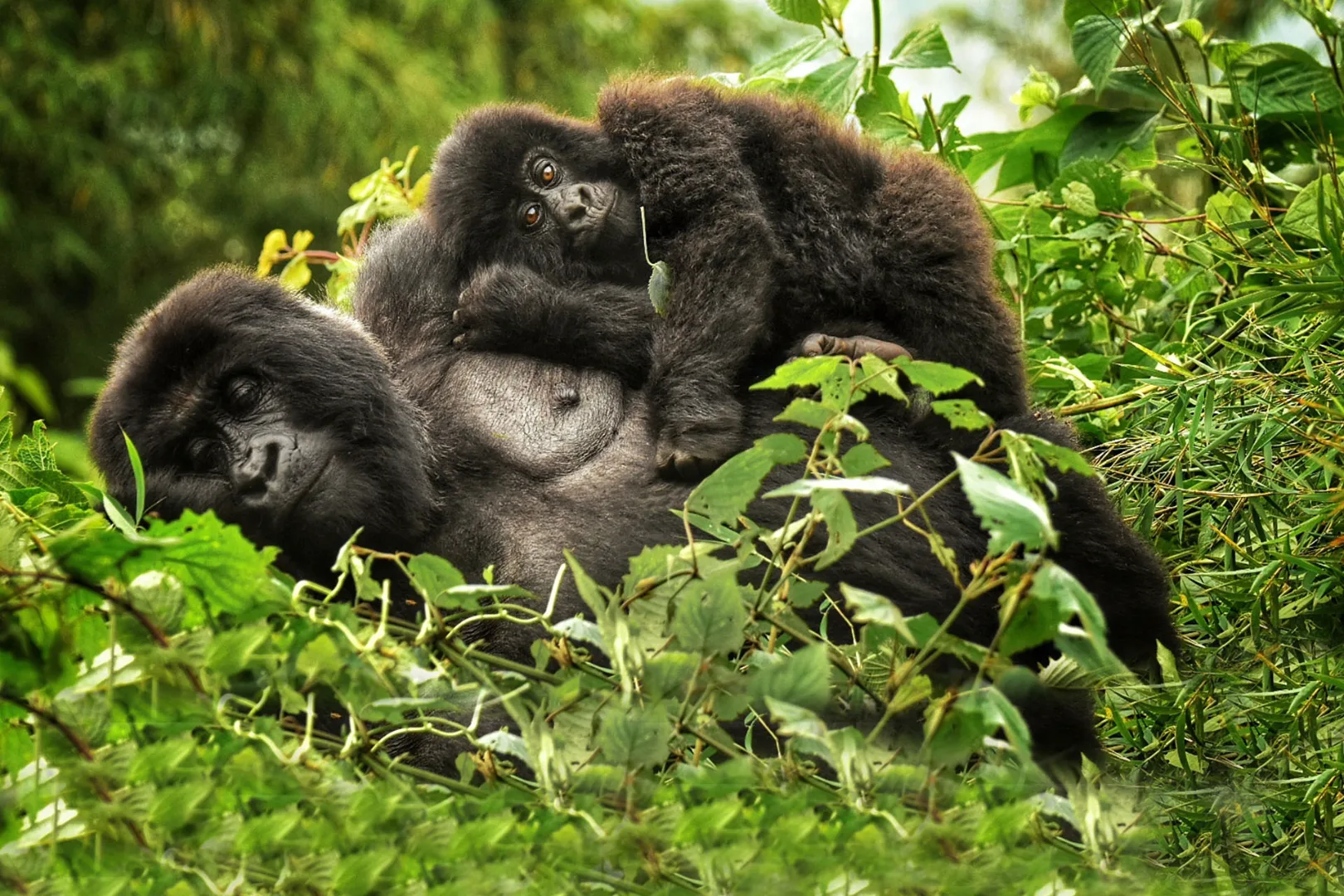 Rwanda