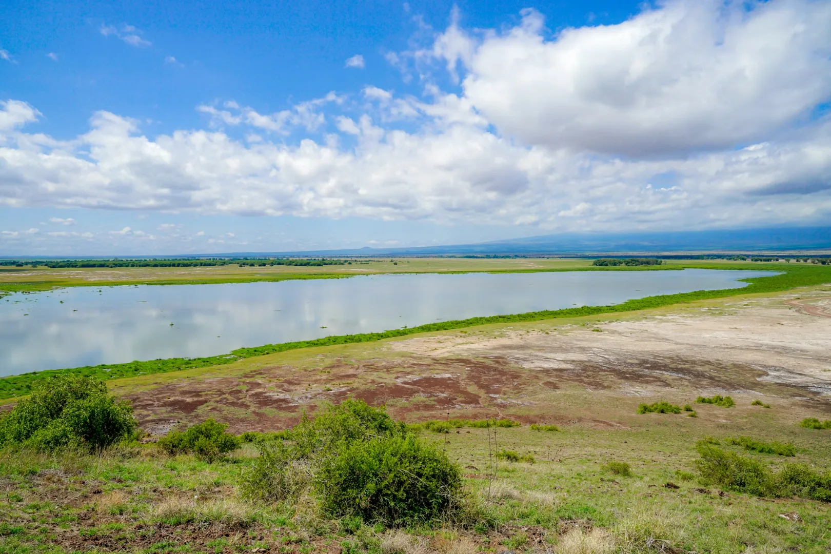 Observation Hill & Central Swamps