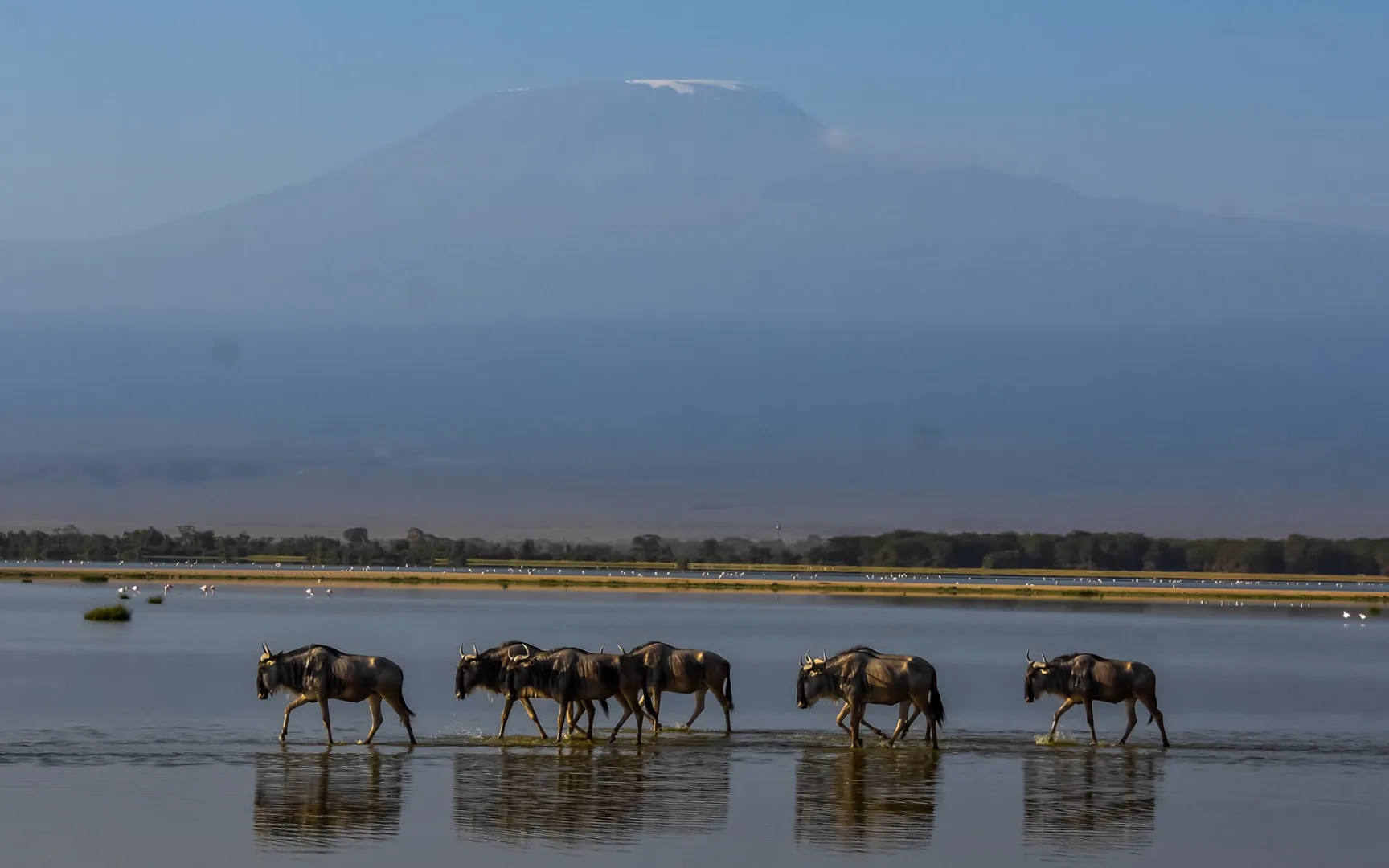 Lake Amboseli Basin