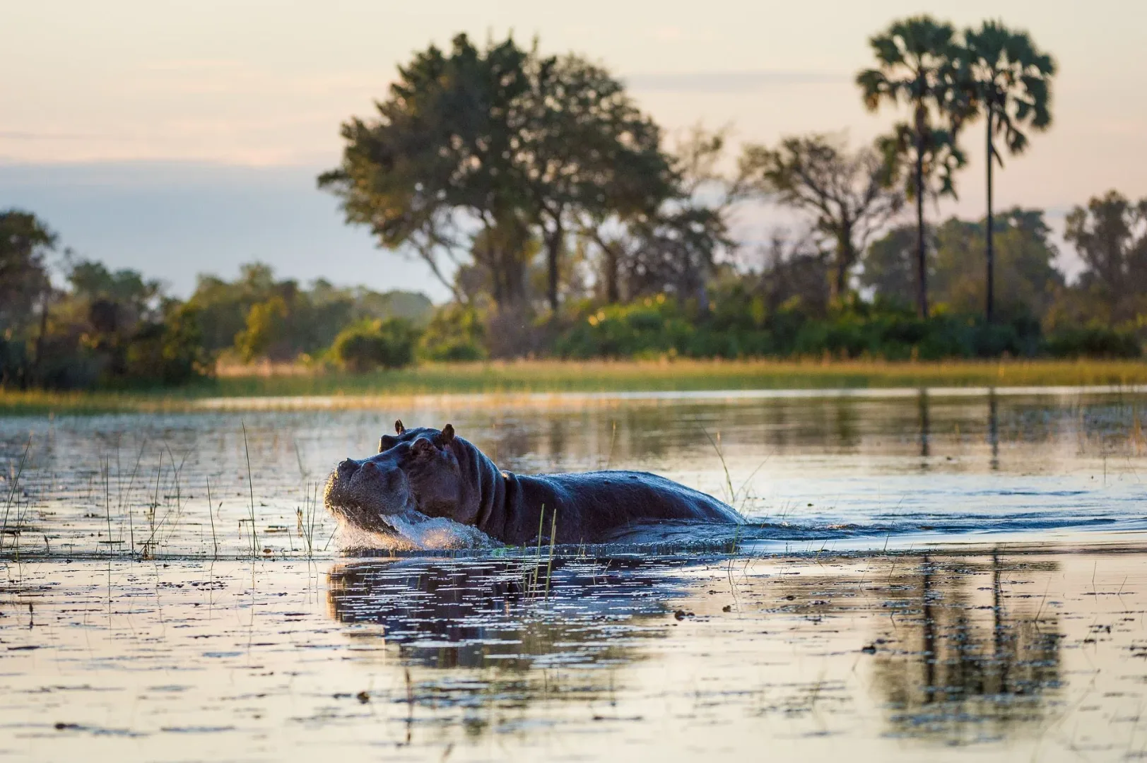 Hippo Pools & Athi River Circuit