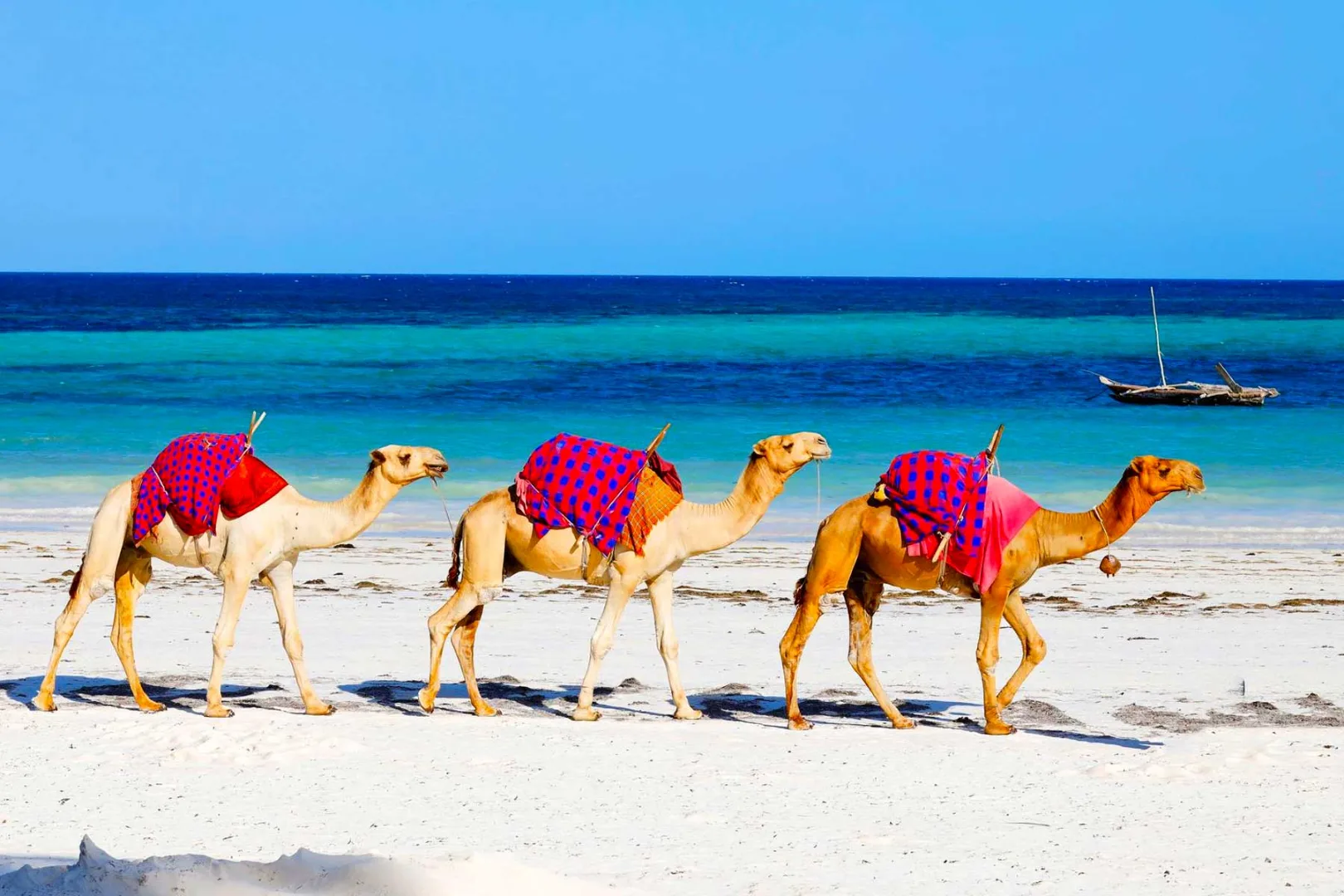 Mombasa Cultural Experiences