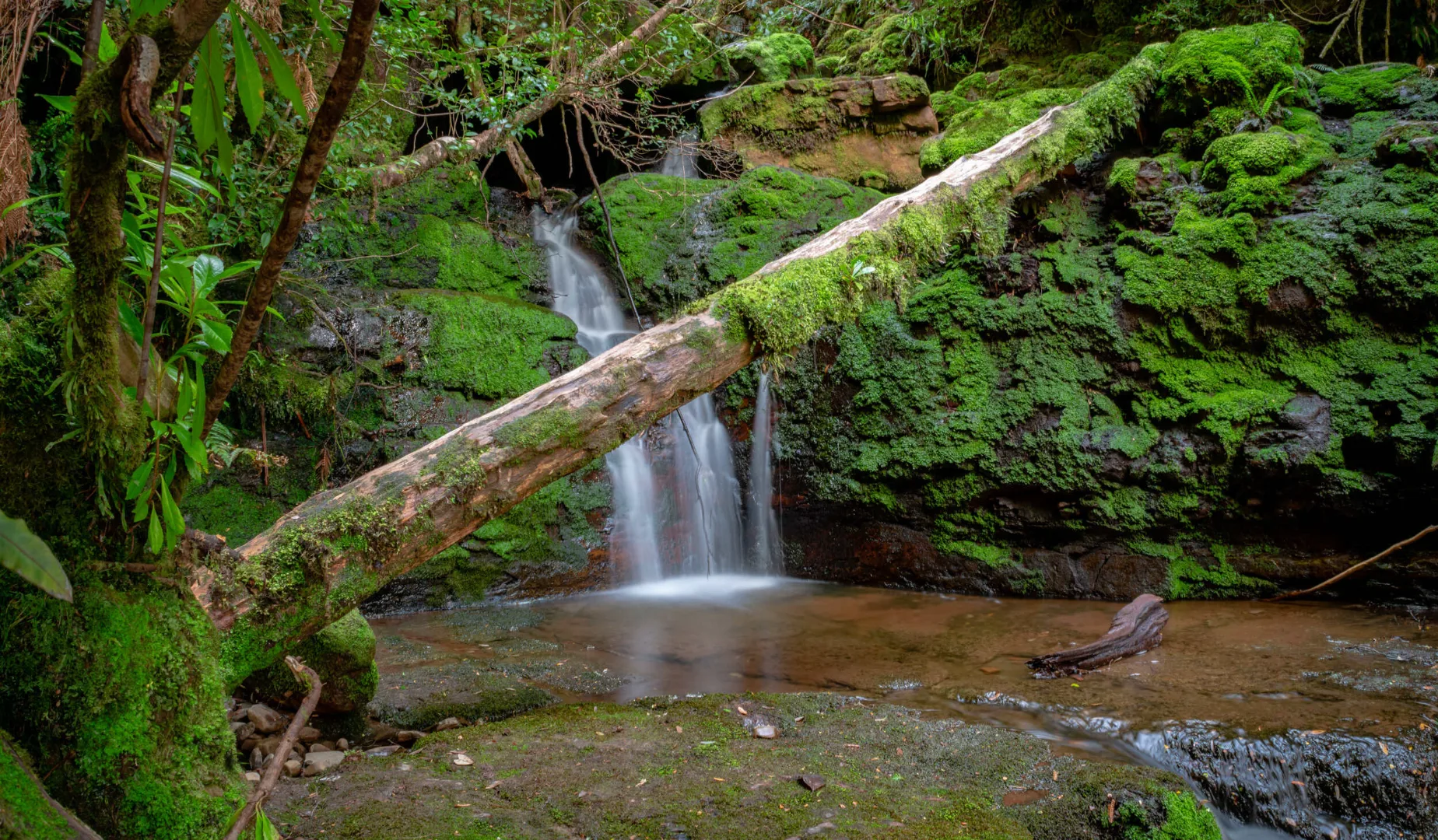 Adamson's Falls & Tana River