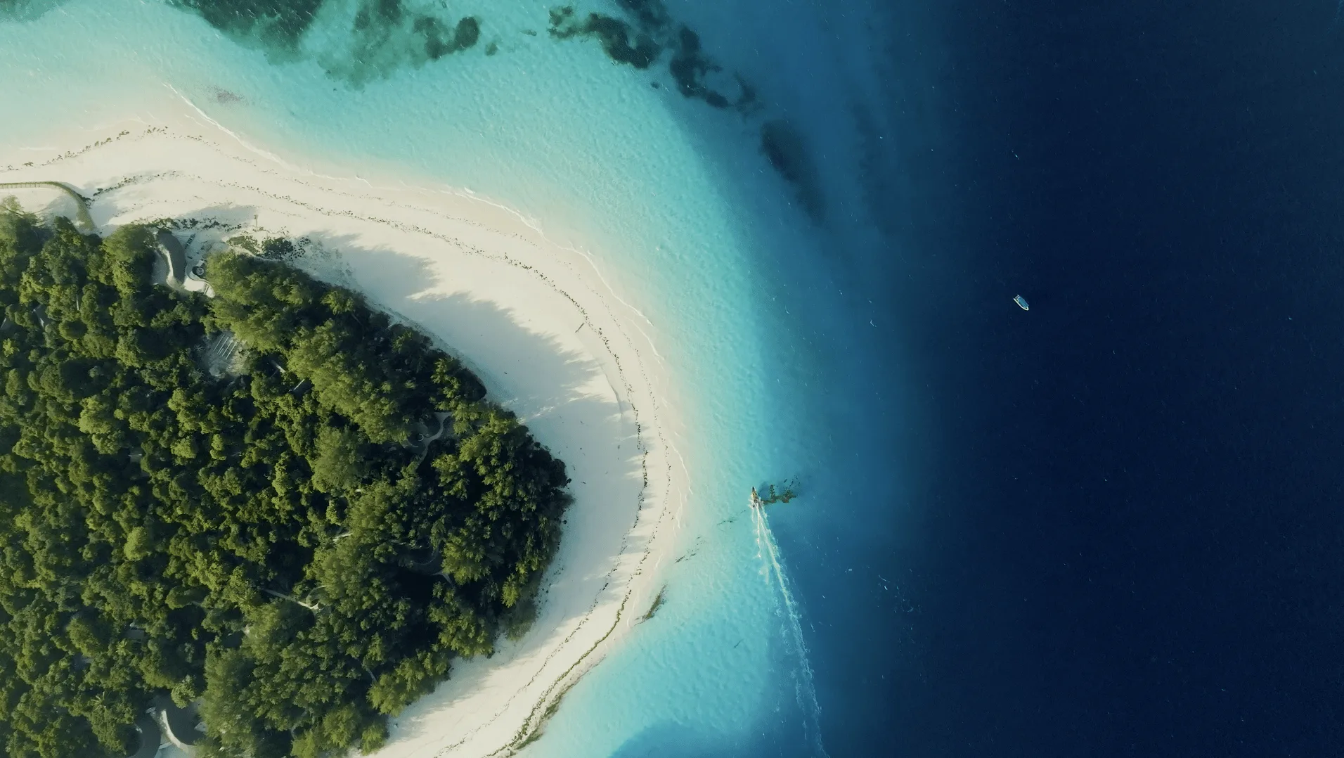 Mnemba Island