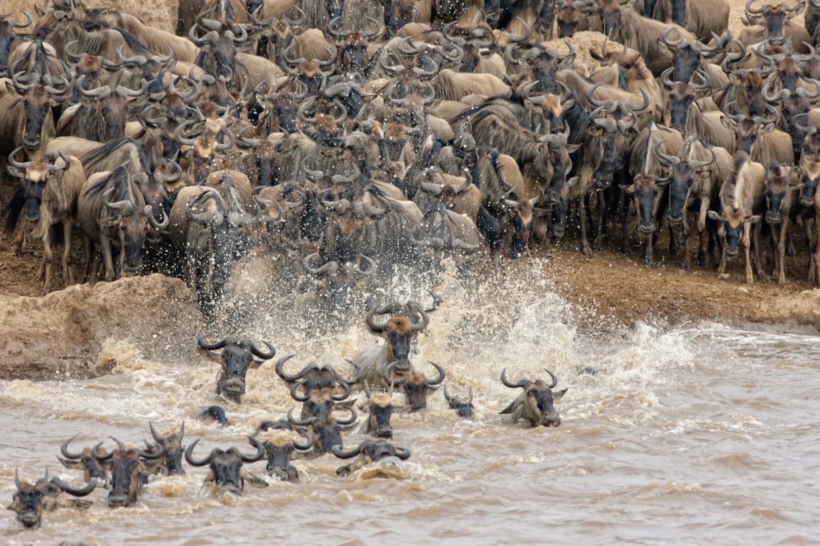Northern Serengeti / Mara River