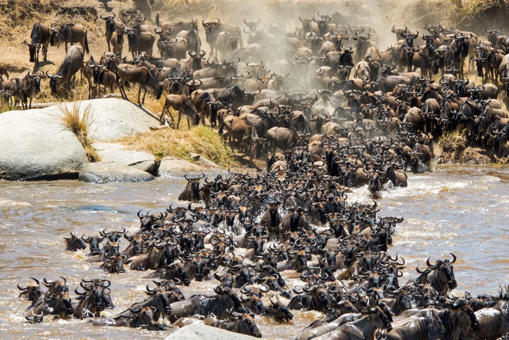 Northern Serengeti (Kogatende)