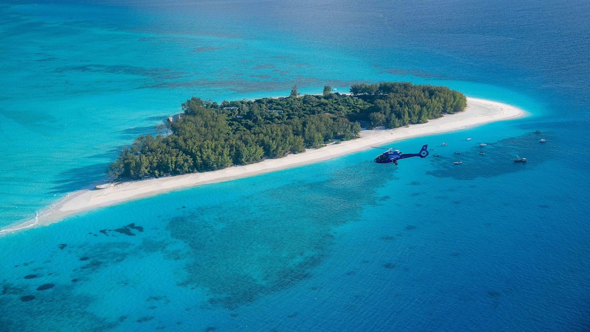 Mnemba Island