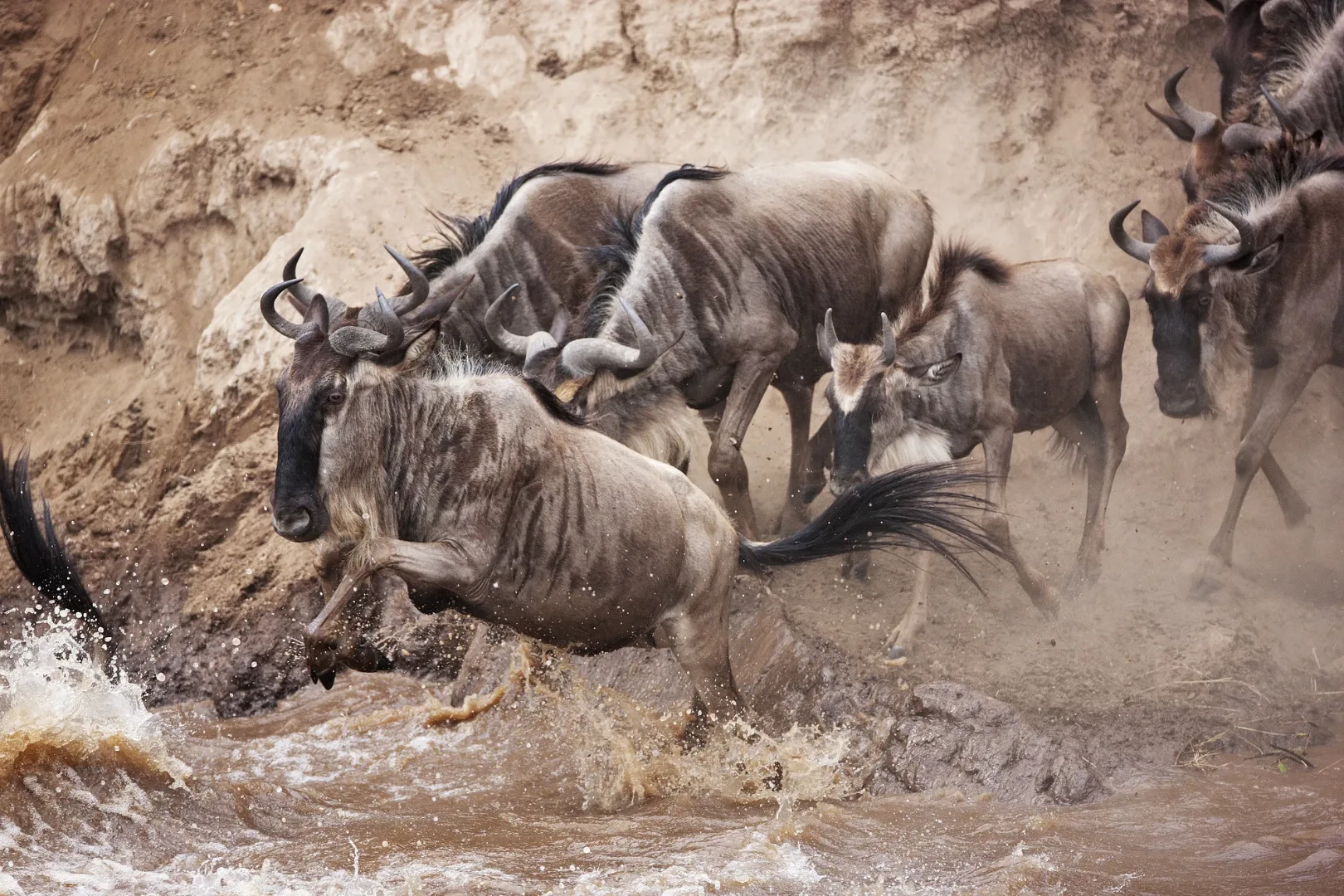 Northern Serengeti & Kogatende