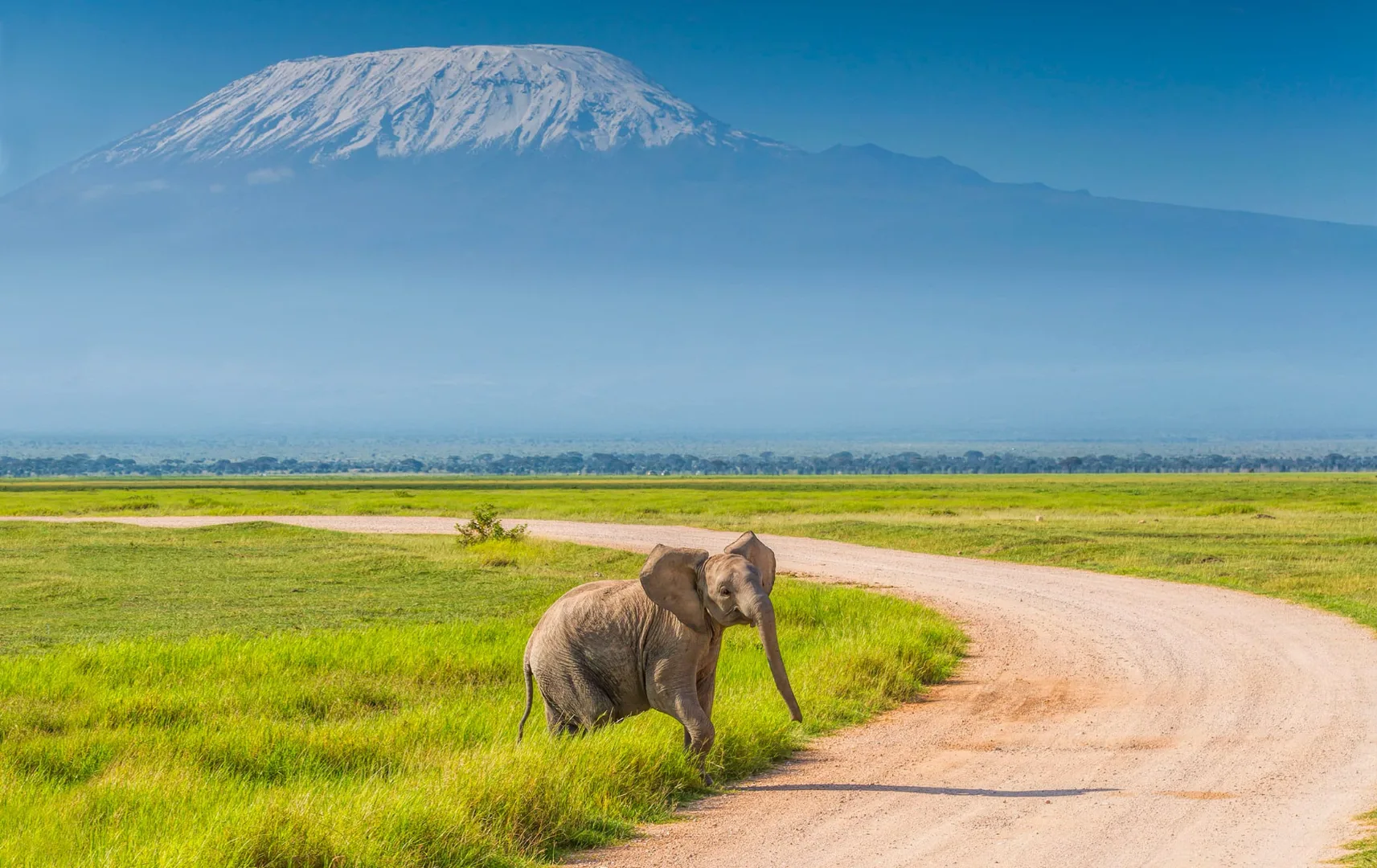 amboseli national park