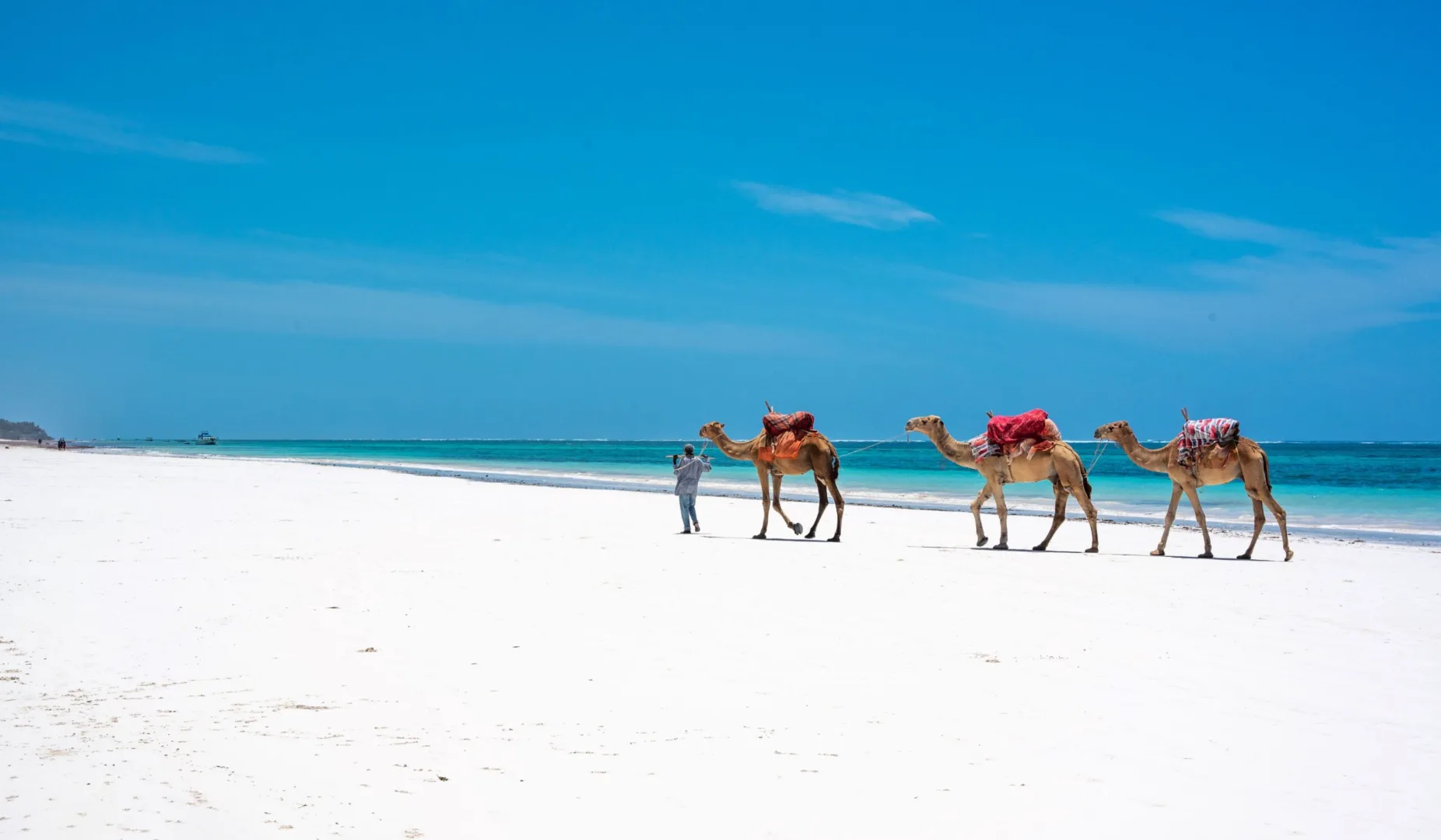 Kenya Wildlife & Beach Gateway