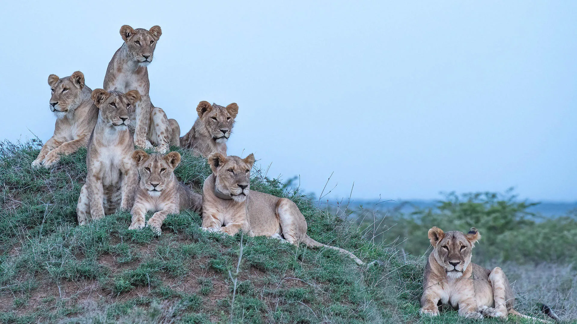 Luxury Kenya Safari