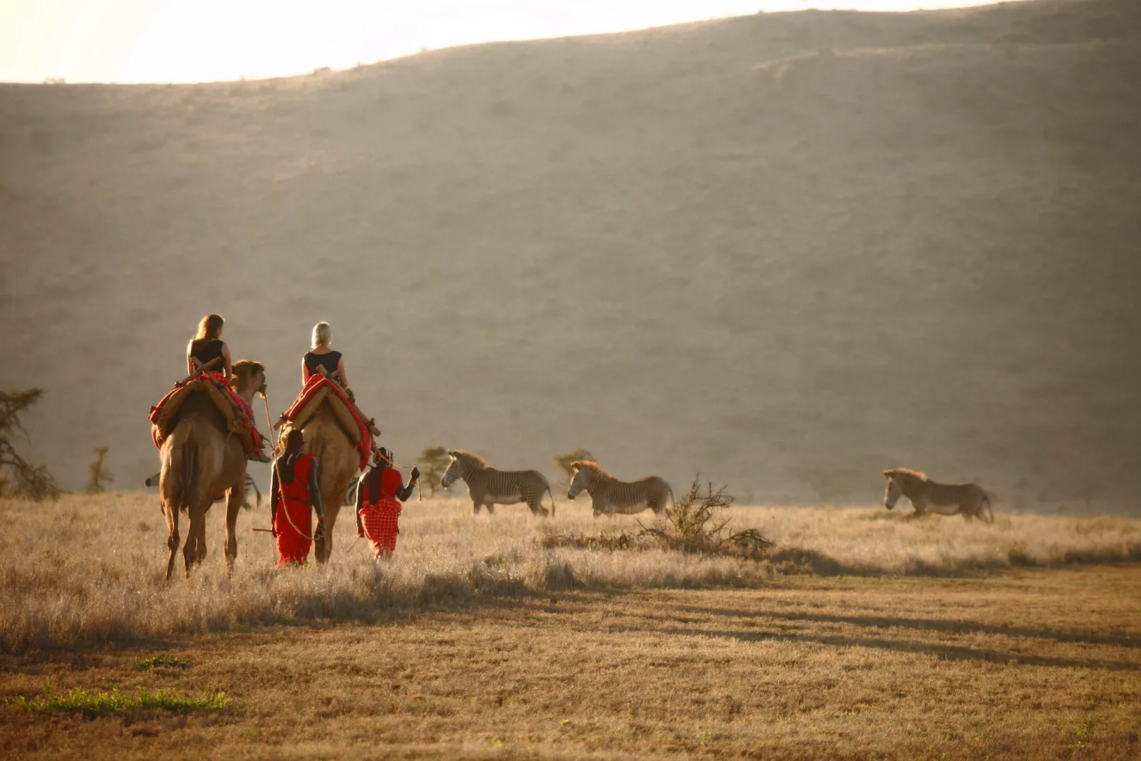 Kenya Custom Private Safari