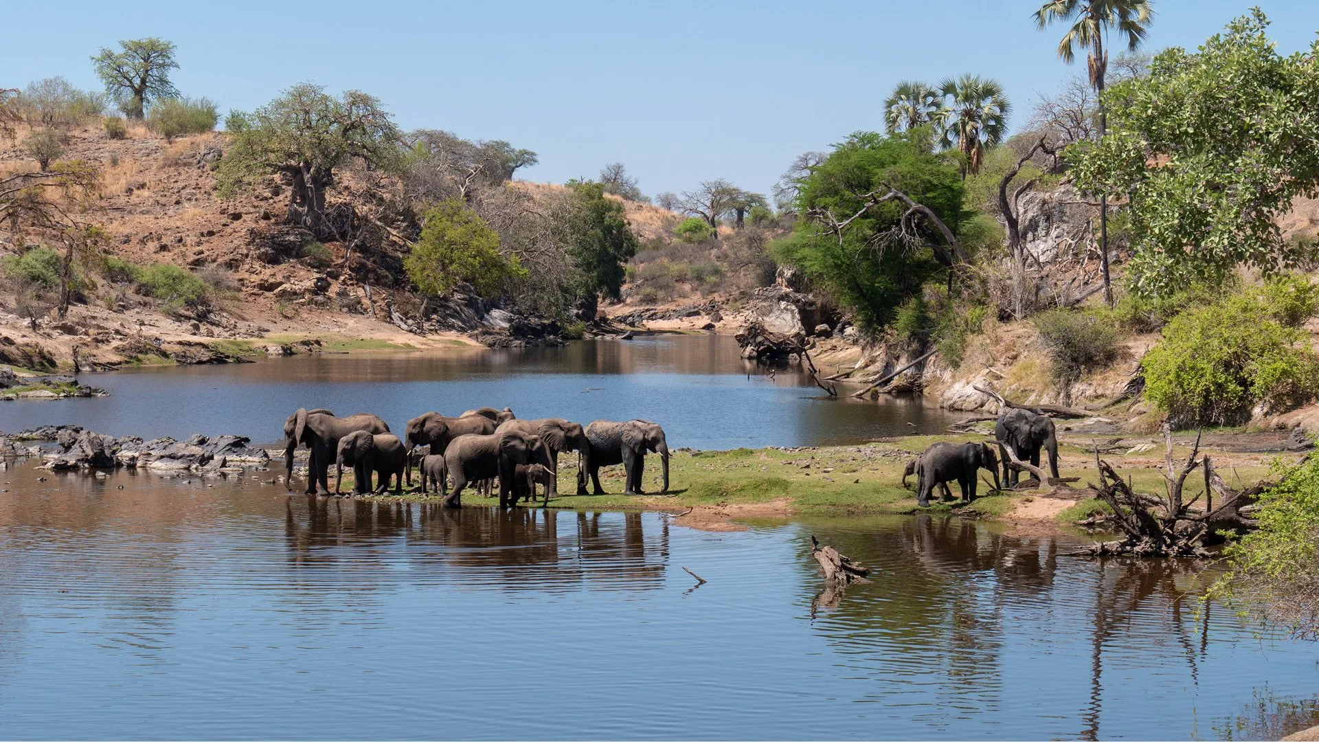 Nyerere & Ruaha Explorer