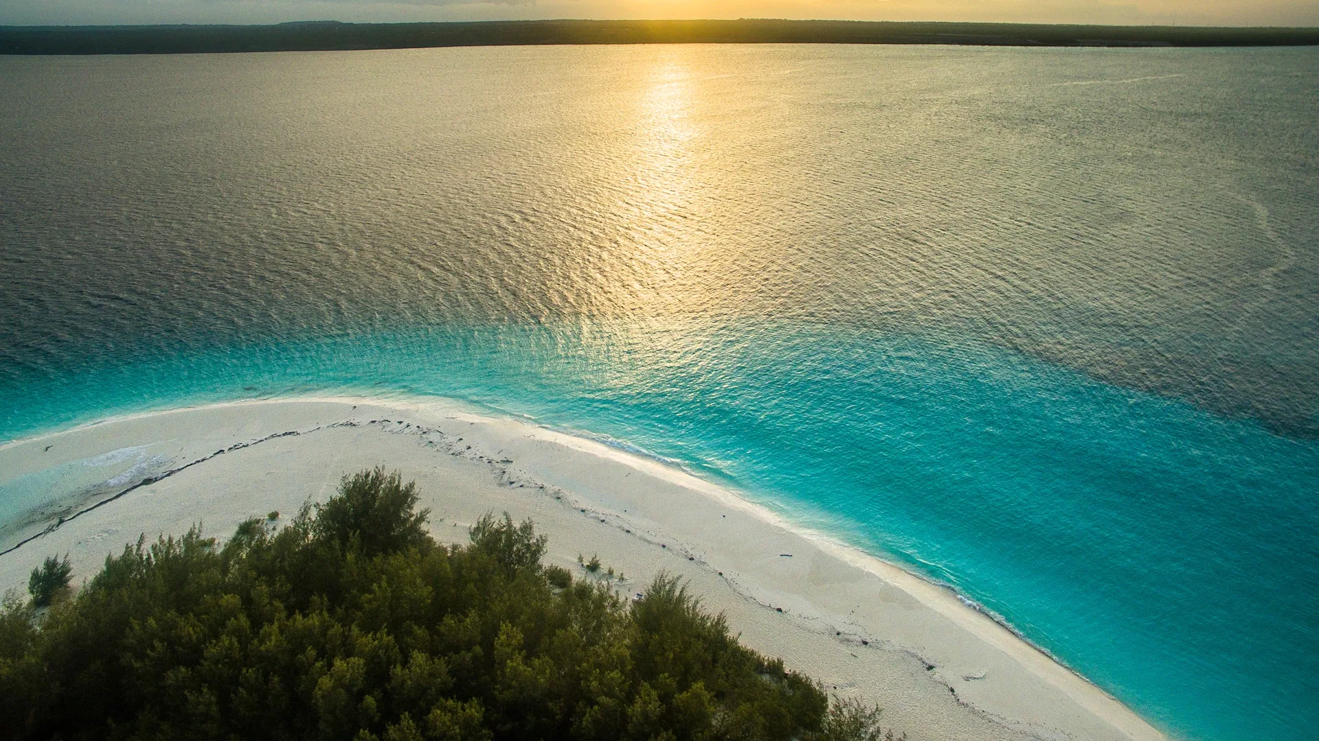 Mnemba Island Day Experience