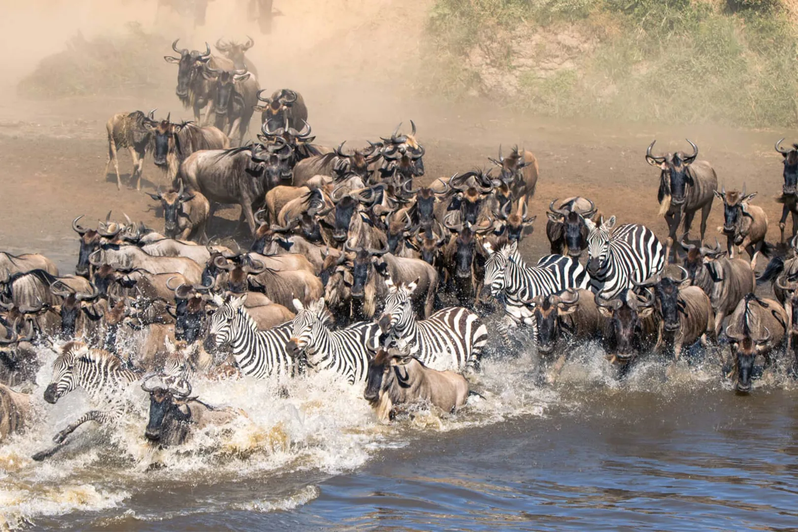 Serengeti Migration Safari