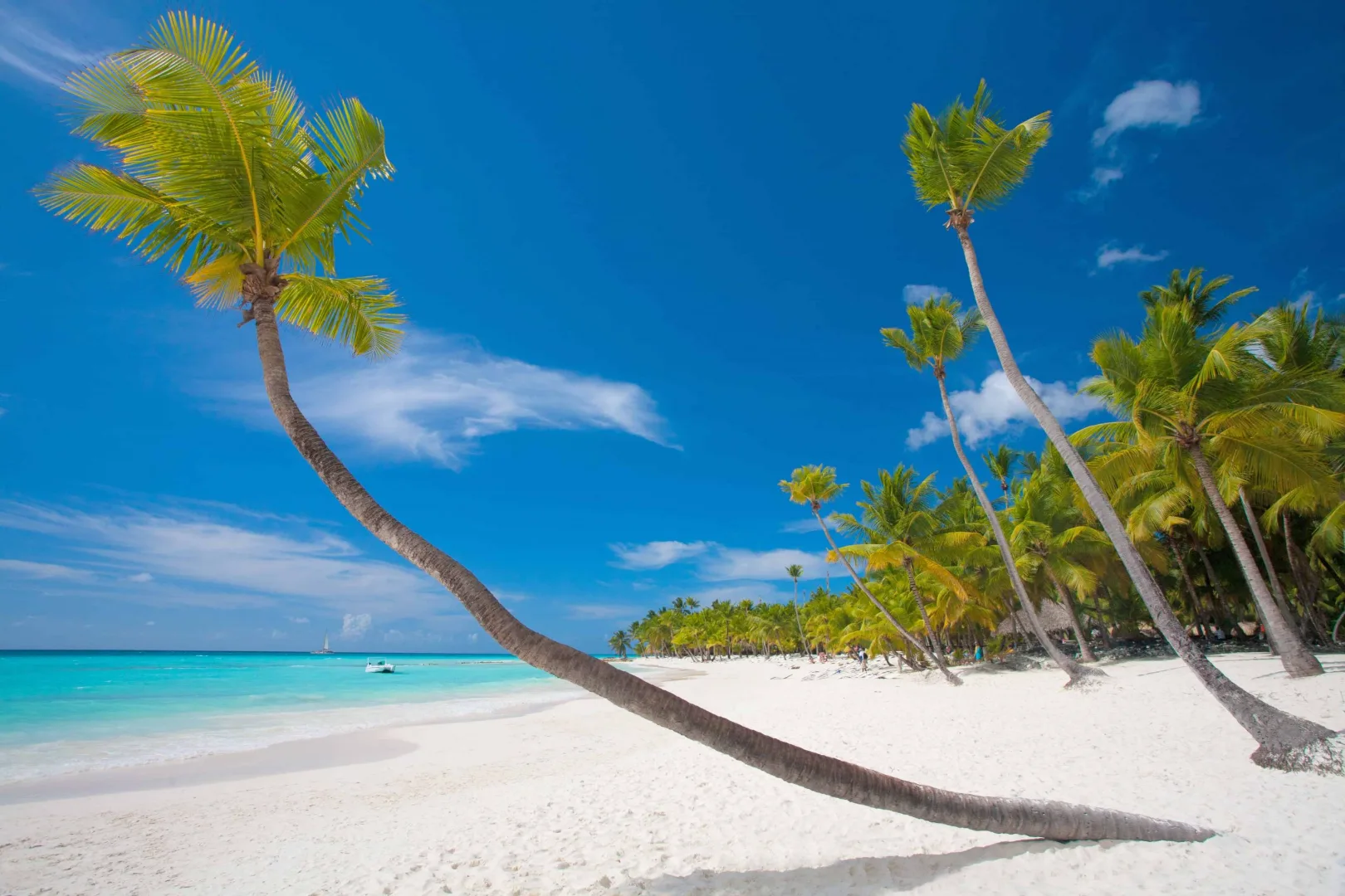 white sands beach in zanzibar scaled