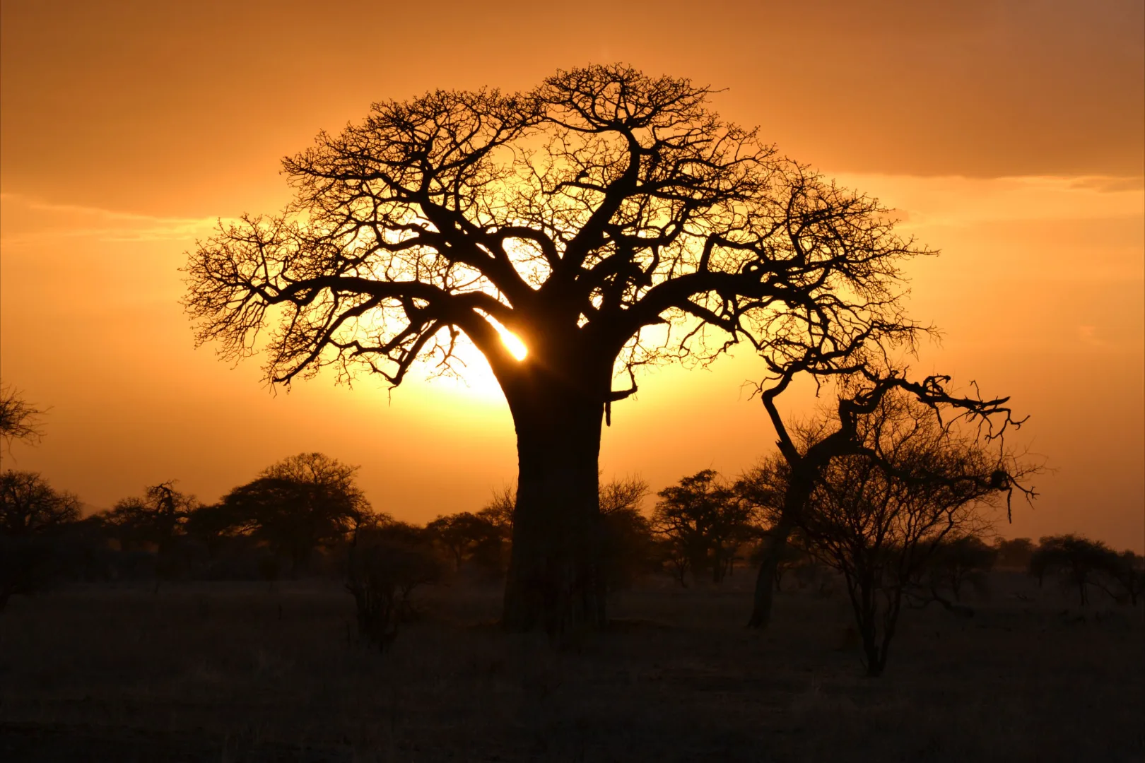 Tarangire National Park
