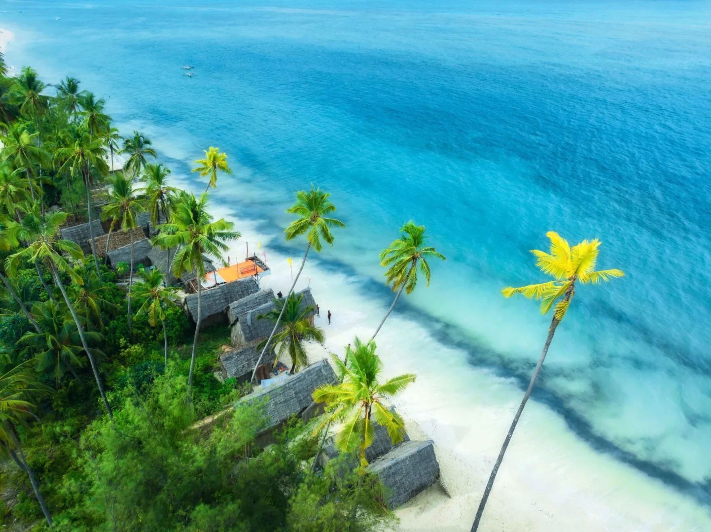 How to Plan a Trip to Zanzibar 1 scaled