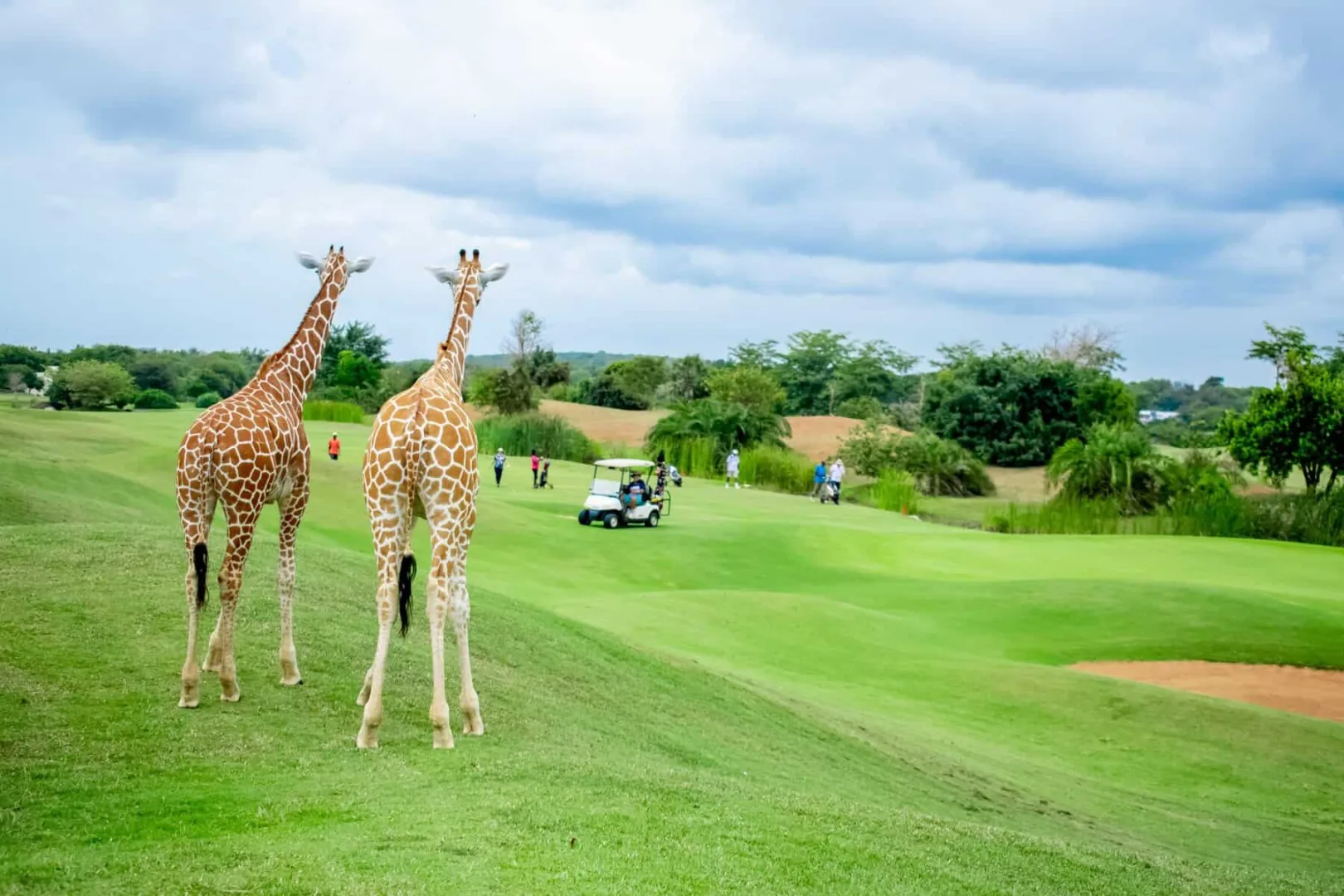 The Grand Slam - Kenya & Tanzania Safari + Golf