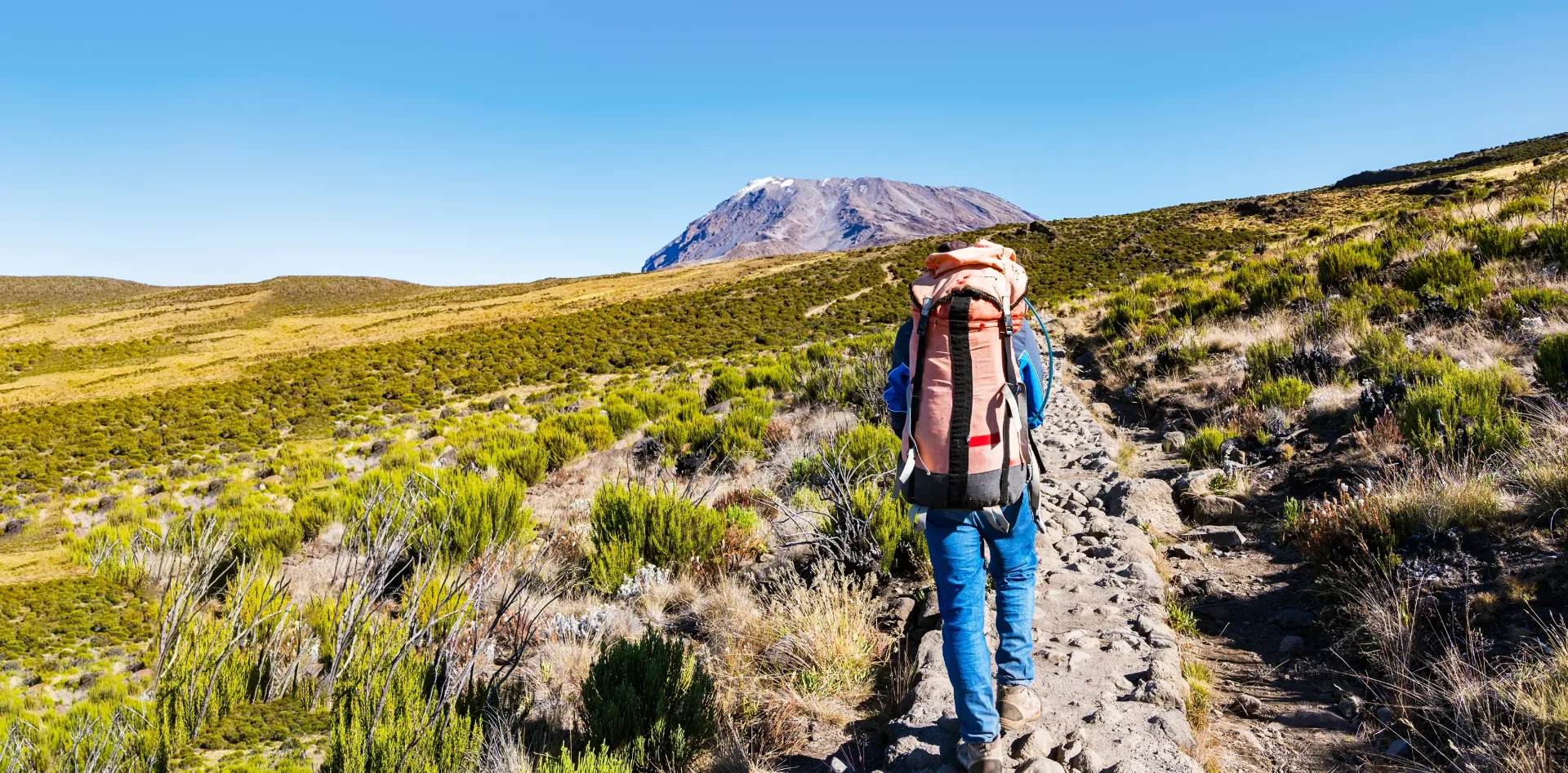 6-Day Kilimanjaro Day Hike & Safari Combo