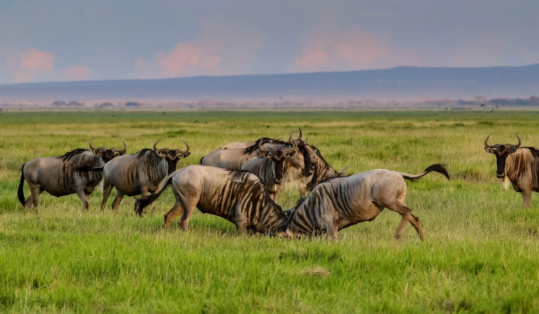 4-Day Camping & Cultural Safari