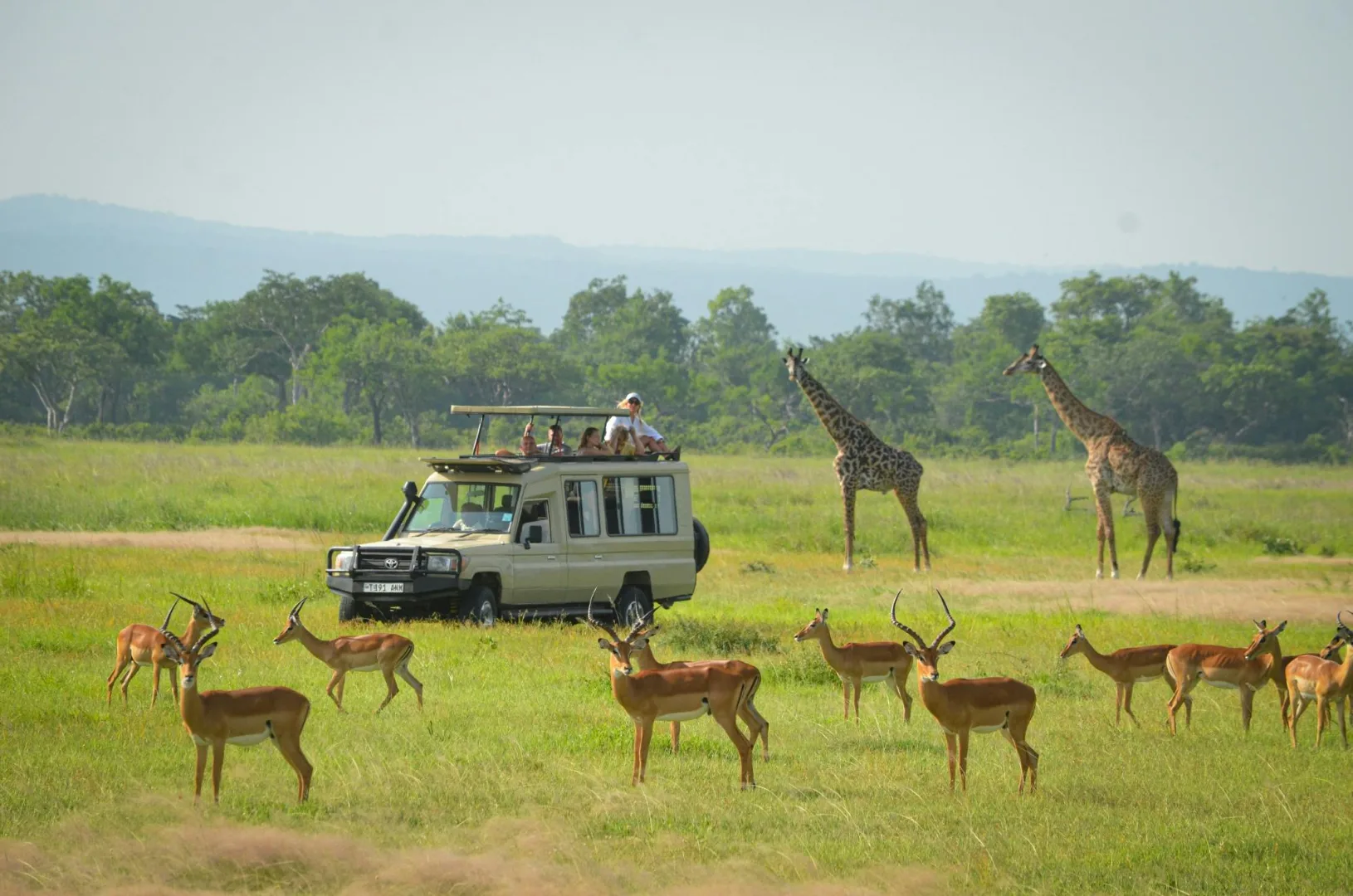 4-Day Mikumi National Park Safari