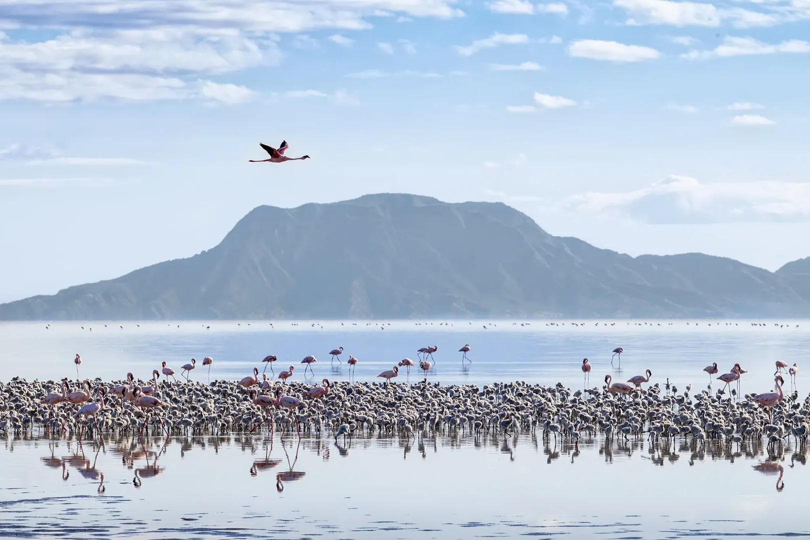 7-Day Northern Safari with Lake Natron