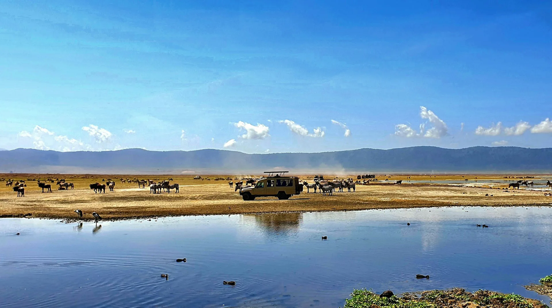 6-Day Complete Northern Circuit Safari