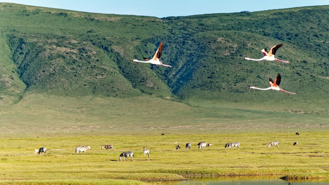 3-Day Lake Manyara & Ngorongoro Safari