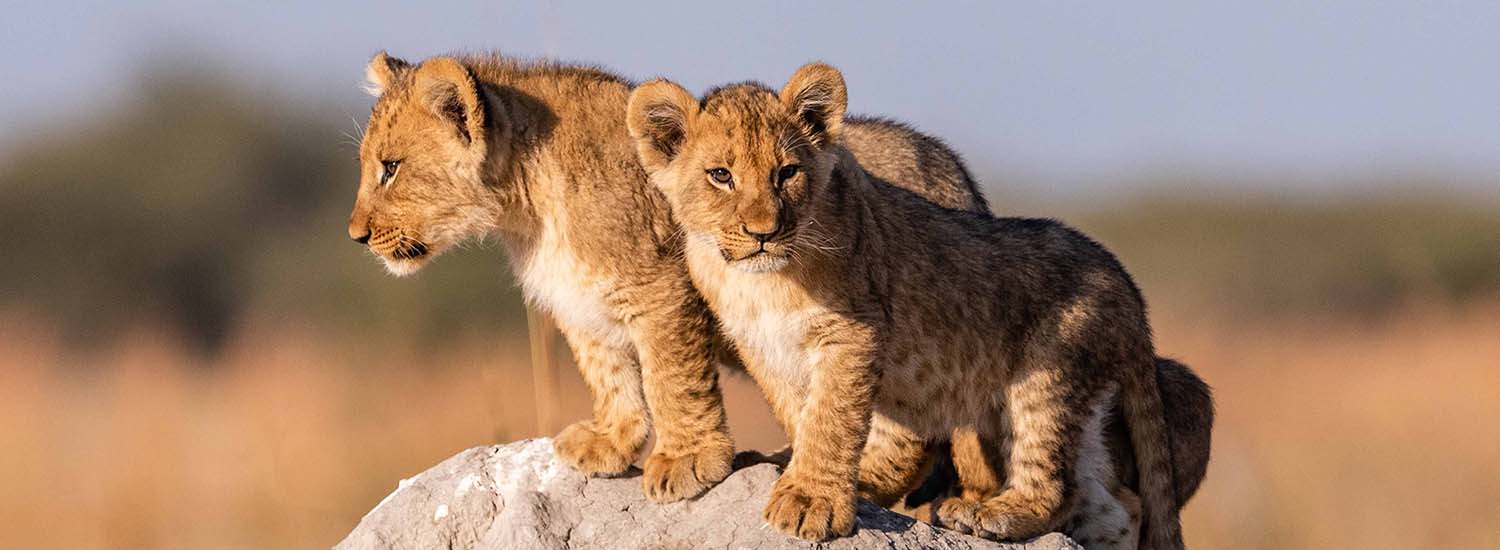 East Africa Grand Safari